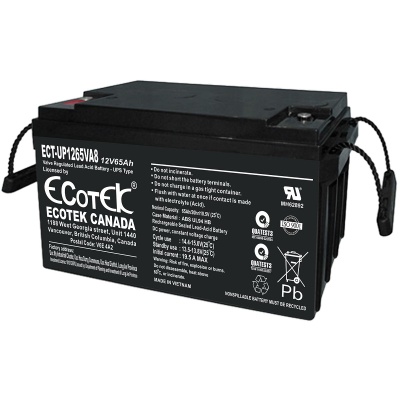 Ắc quy ECOTEK 12V-65Ah (ECT-UP1265VA8)