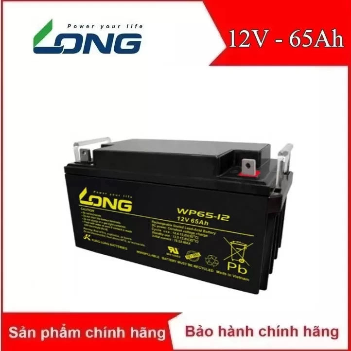 Ắc quy kín khí Long 12V-65Ah (WP65-12)